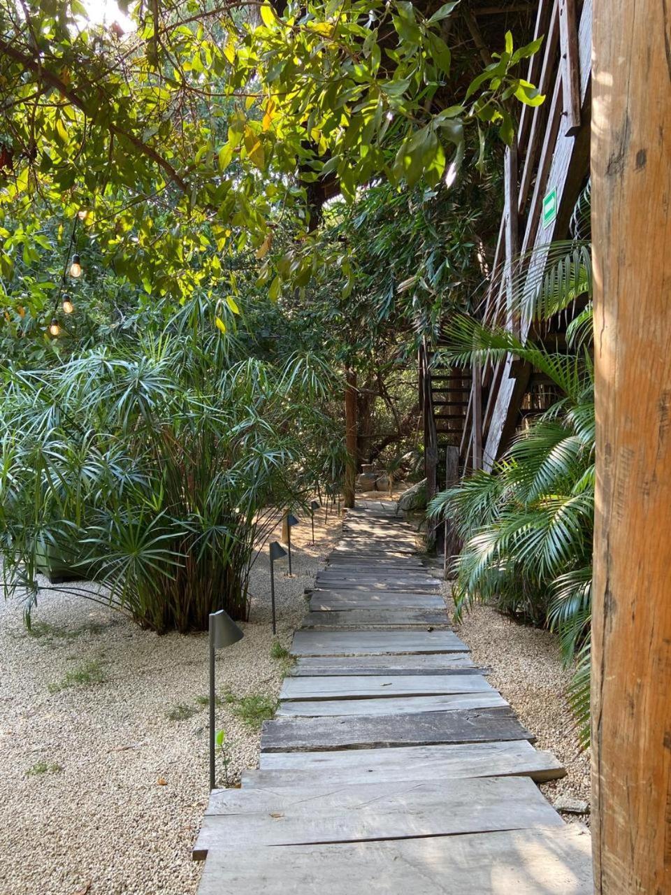 Amor Rooms Tulum Eksteriør billede